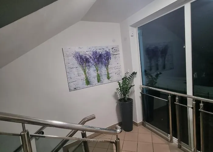 Nevada Проживання в сім'ї Гдиня